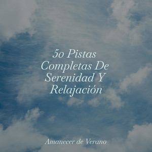 50 Pistas Completas De Serenidad Y Relajación