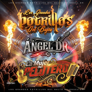Los Grandes Potrillos Del Bajio - La mujer del pelotero