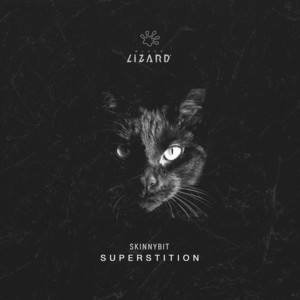 Superstition - Radio Edit