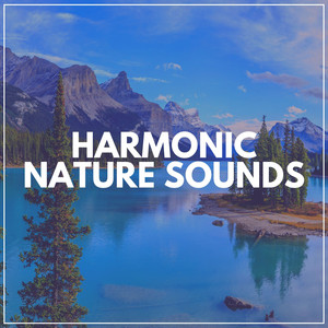 Harmonic Nature Sounds album