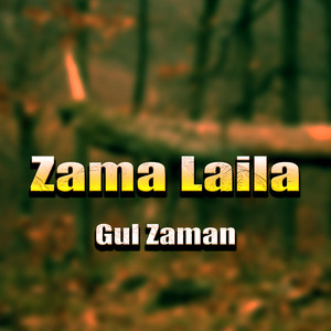 Gul Zaman - Wali Narazay Shaista Janana