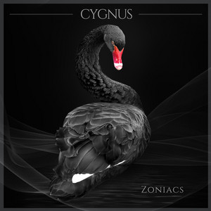 Cygnus by Zoniacs