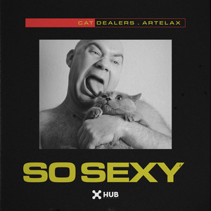 So Sexy by Cat Dealers, Artelax