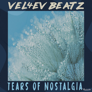 Vel4ev Beatz - Tears of Nostalgia