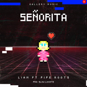 Señorita by Liam, Pipe Roots