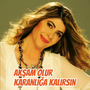 Akşam Olur Karanlığa Kalırsın