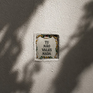 Tu Não Vales Nada