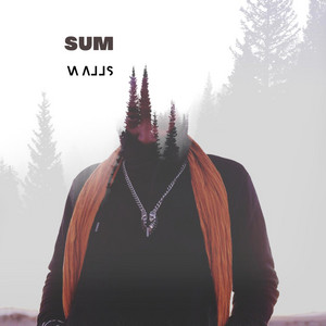 Portada de Walls