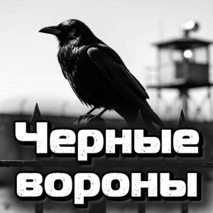 Чёрные вороны by Rafs Perfume