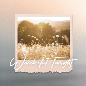Wonderful Tonight