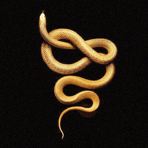 Portada de primal