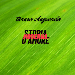 Storia D'amore Moderna by Teresa Cheguarda