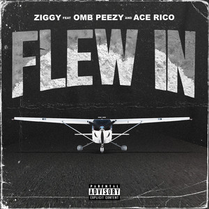Flew In by Ziggy, OMB Peezy, Ace Rico