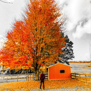 Autumn Dawn by Brett Schleicher