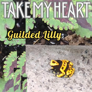 Take My Heart
