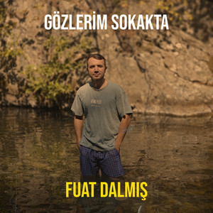 Gözlerim Sokakta by Fuat dalmış
