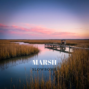 Marsh by slowbomb