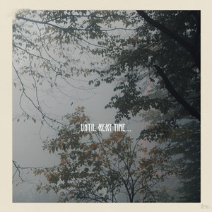 Until Next Time... (Lake Clarity Original Soundtrack)