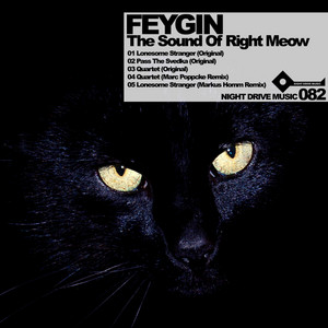 Feygin - Pass the Svedka