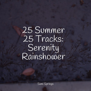 25 Summer 25 Tracks: Serenity Rainshower album