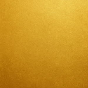 DIMMYSAD - We Are Ready to Win