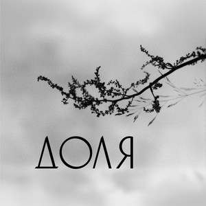 POVYTA — Доля