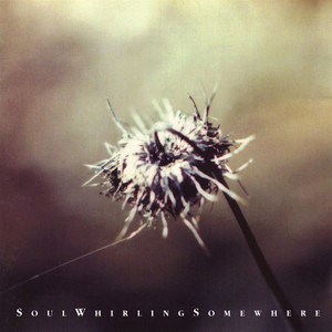 when i dream i fall i hit 2