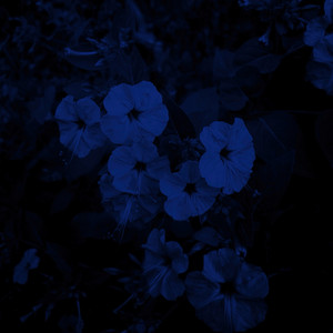 so unlovable by Astro Koshi