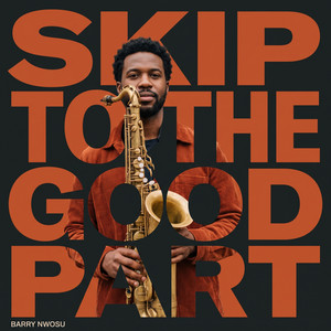 Skip To The Good Part by Barry Nwosu
