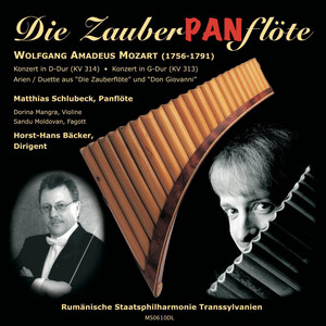 Die Zauberflöte, KV 620: Arie des Papageno: 