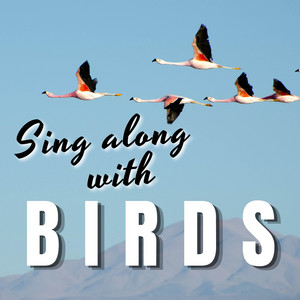 Birds Sounds