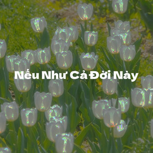 Nếu Như Cả Đời Này by Habin, PBONN, Kem