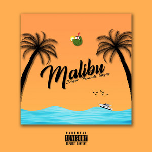 Portada de Malibu