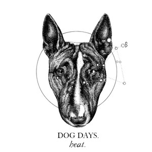 Dog Days cover