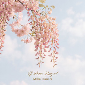 The Last Promise by Mika Hanari