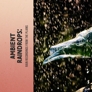Ambient Raindrops: Rain Recordings from the Plains album