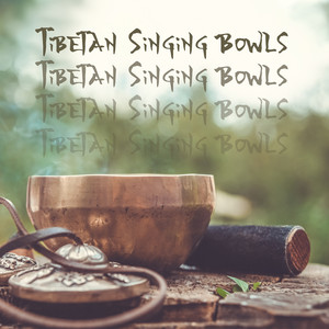 Healing Power of Tibetan Singing Bowls: Music for Meditation for Beginners, Emotional Pain, Peaceful Heart album