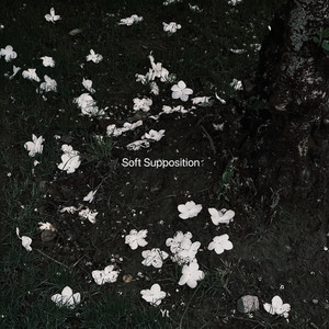 Soft Supposition by Yt