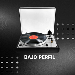 Bajo Perfil by Fiesta Record