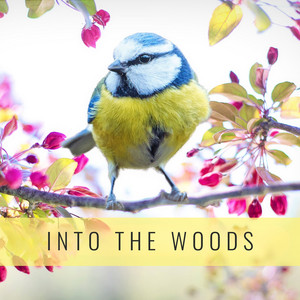 Field Notes Collective - Meditative Woodland