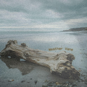 Small Enough by Driftwood Gospel