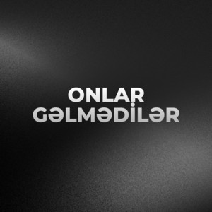 Onlar Gəlmədilər by Ferid Sumqayit