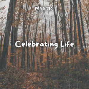 Celebrating Life - Radio Edit by MYSTIC