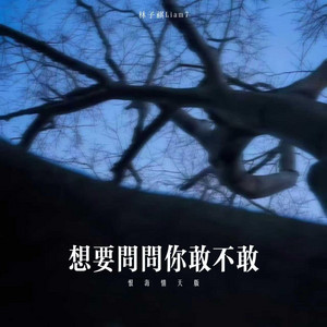 想要问问你敢不敢 - 恨海情天版 by 林子祺Liam7