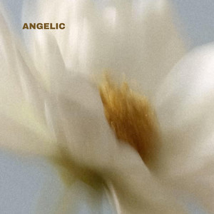 Angelic by Titus Haskins