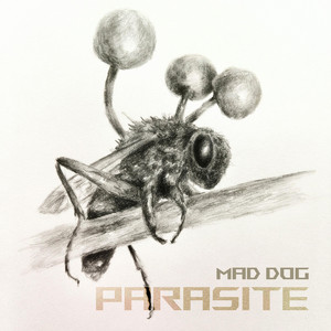 Mad Dog — Parasite