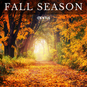 Gentle Jammers - Fall Season