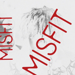 misfit! by saveaj