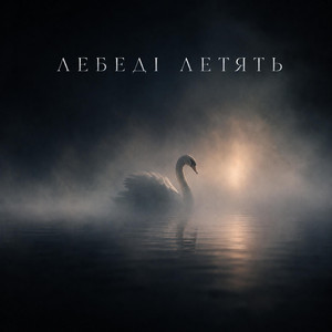Лебеді Летять by ROMIX ST