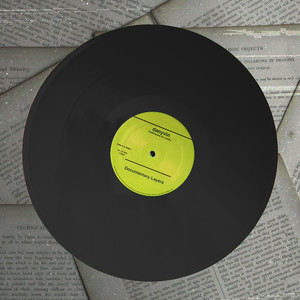 Danyl Vindiuk & danyvin - Chronicles of Reality